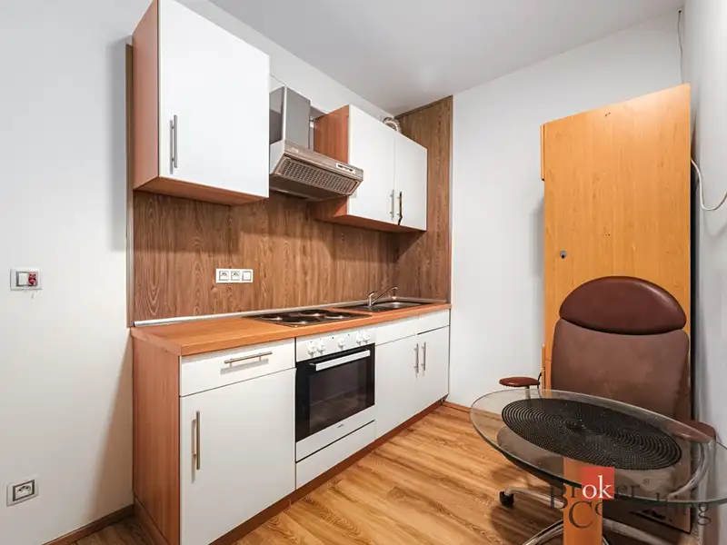 Pronájem bytu 2+1 48 m², Plzeň – náhled fotky 3