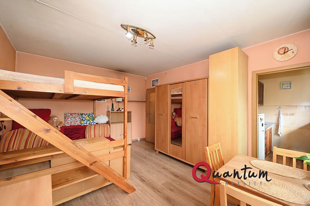 Pronájem bytu 1+kk 27 m² – fotografie 2
