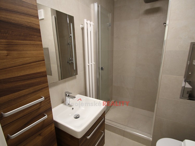 Wohnung 1+kk zur Miete, 30 m² (5 von 8)