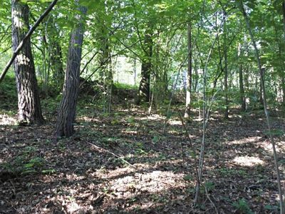 Prodej lesa 2510 m²