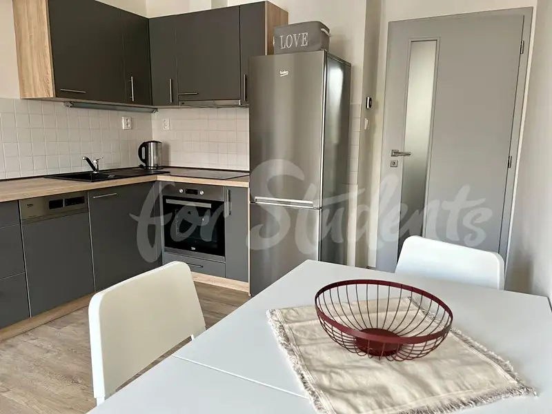 Pronájem bytu 3+kk 58 m², Hradec Králové – náhled fotky 1