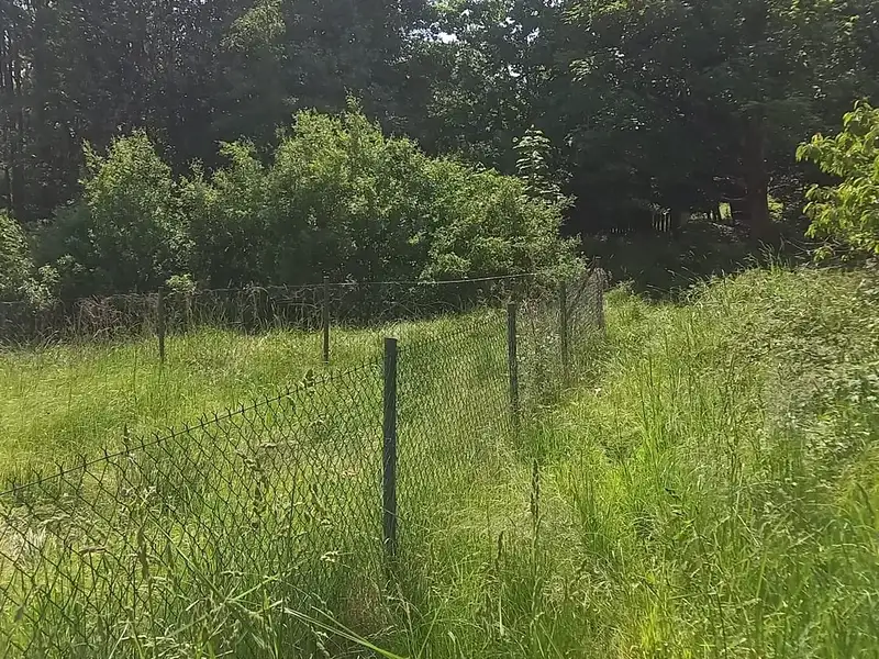 Prodej stavebního pozemku 1800 m², Staré Křečany – náhled fotky 3