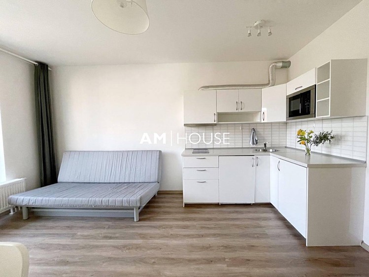 Квартира 1+kk в оренду, 28 м² (1 з 7)