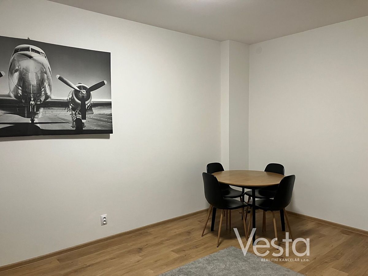 Pronájem bytu 1+1 48 m² – fotografie 4