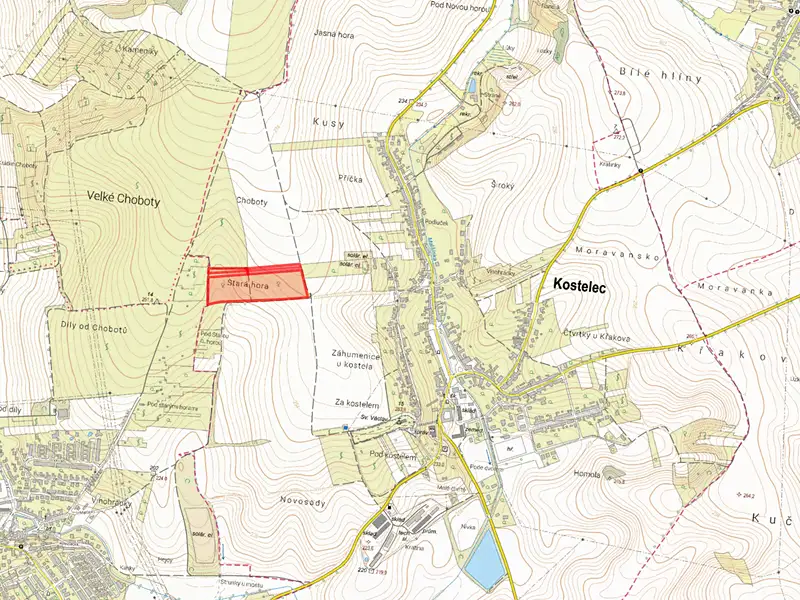 Prodej sadu, vinice 38921 m², Kostelec – náhled fotky 2