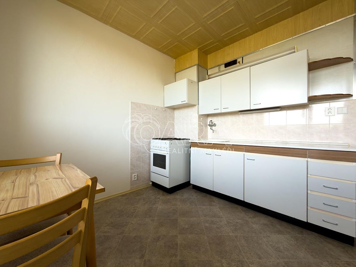 Pronájem bytu 1+1 46 m² – fotografie 4