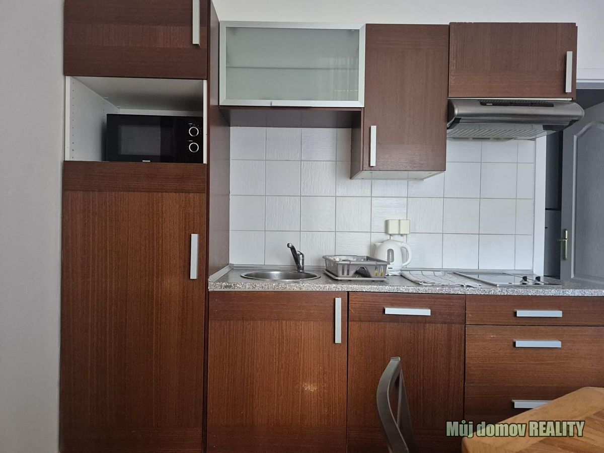 Pronájem bytu 1+1 39 m²