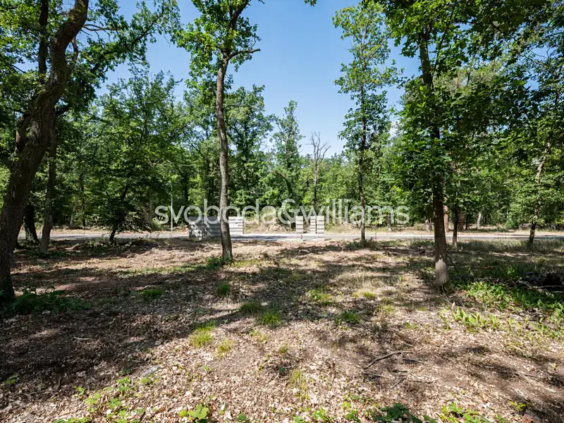 Prodej stavebního pozemku 2815 m², Hradištko – náhled fotky 2
