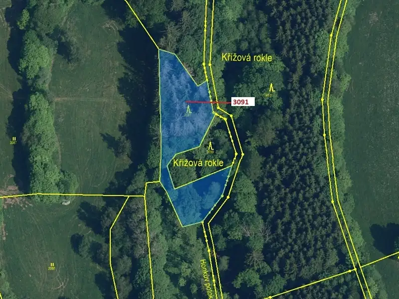 Dražba lesa 1964 m², Benešov u Semil – náhled fotky 2
