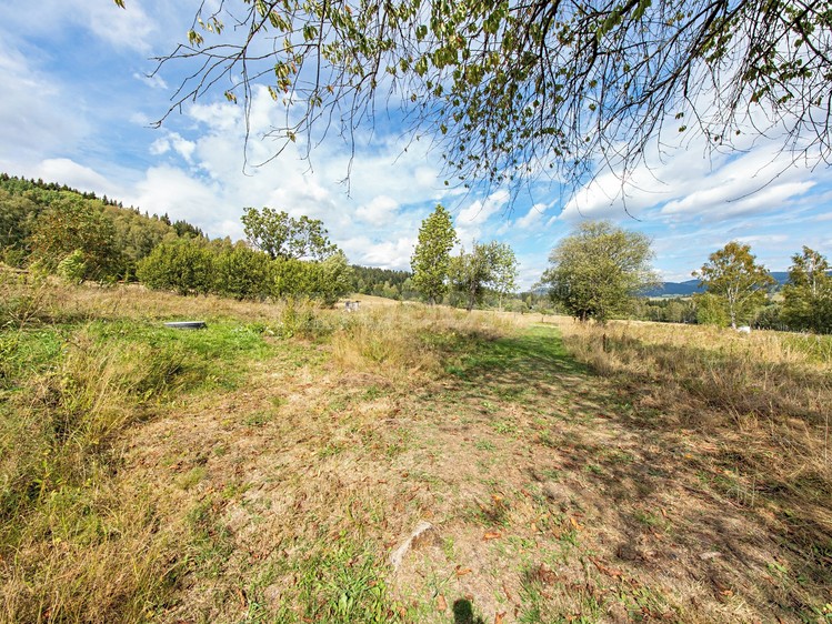 Ділянка на продаж, 2 451 м² (8 з 21)
