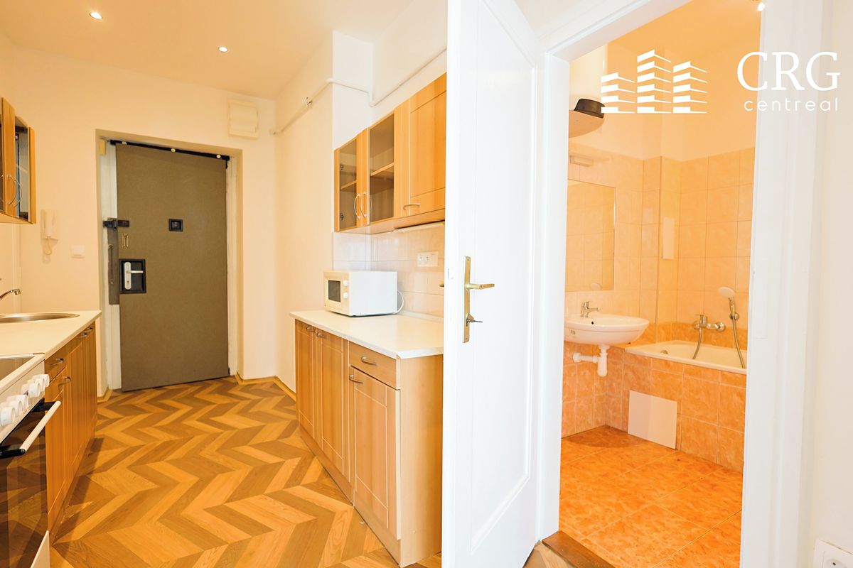 Pronájem bytu 1+1 35 m²