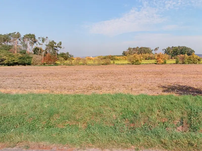 Prodej pole 3455 m², Němčice – náhled fotky 2