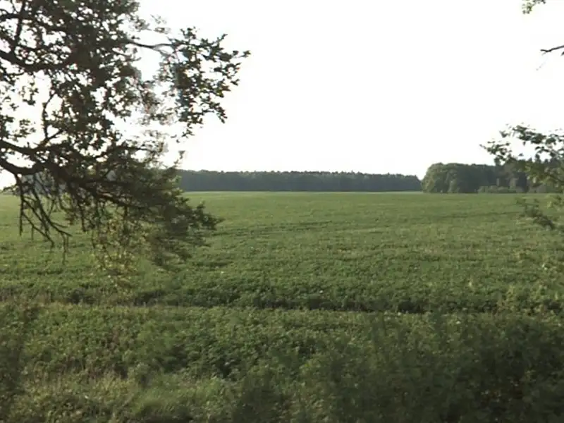 Prodej pole 21007 m², Horní Slivno – náhled fotky 2