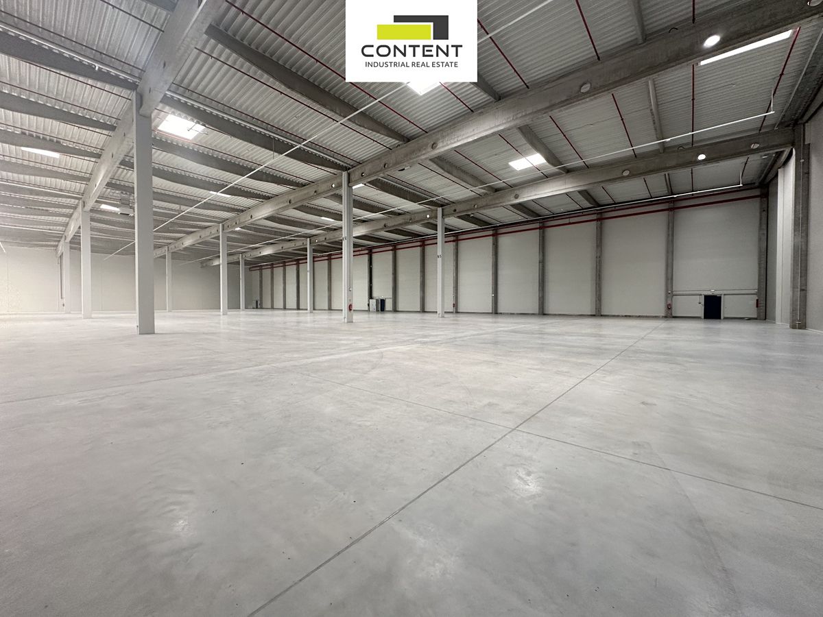 Pronájem výrobní haly, prostoru 18200 m² – fotografie 3