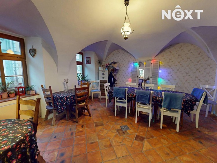 Prodej domu, 296 m² (10 z 29)