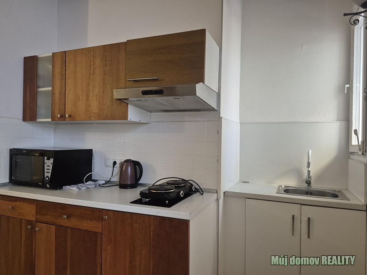 Pronájem bytu 3+kk 120 m² – fotografie 4