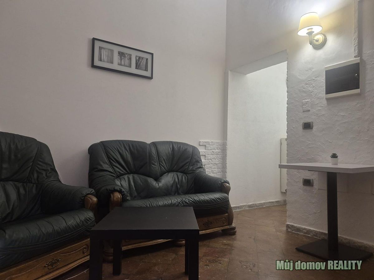 Pronájem bytu 1+1 28 m² – fotografie 2