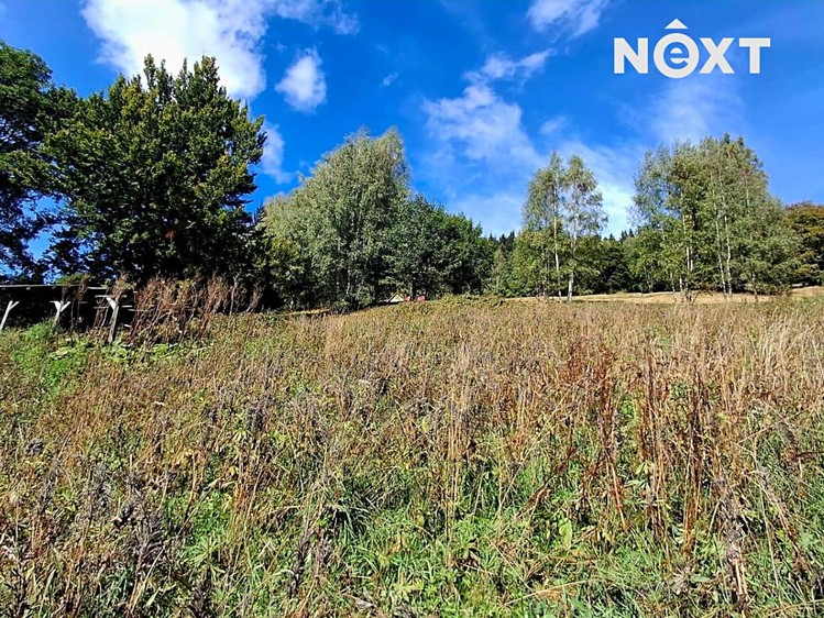 Prodej pozemku, 4 273 m² (12 z 19)