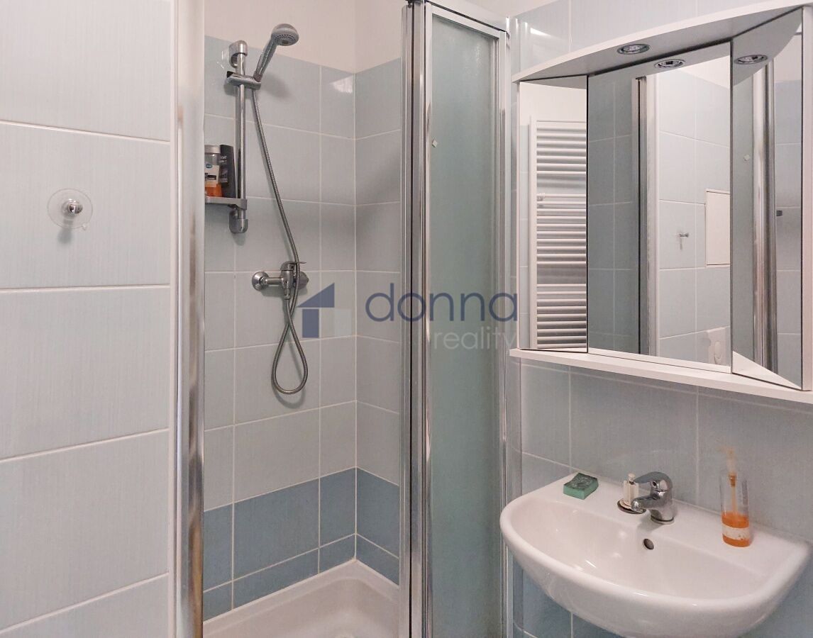 Pronájem bytu 1+kk 32 m² – fotografie 3