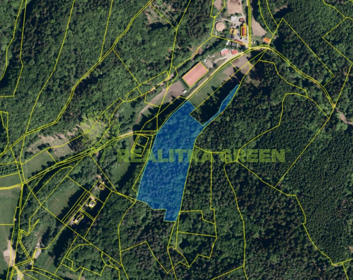 Prodej lesa 17966 m²