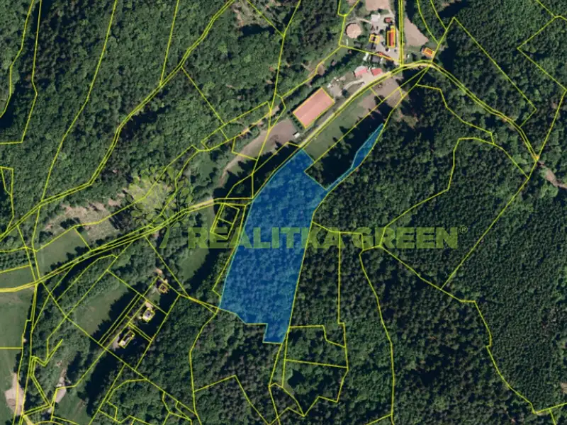 Prodej lesa 17966 m², Všemina – náhled fotky 1