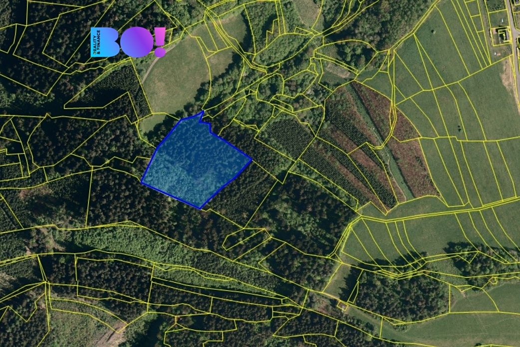 Prodej lesa 14596 m²