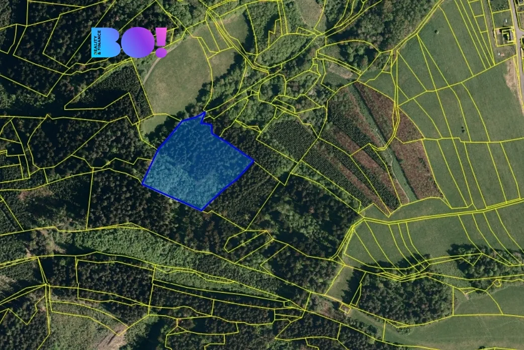 Prodej lesa 14596 m²