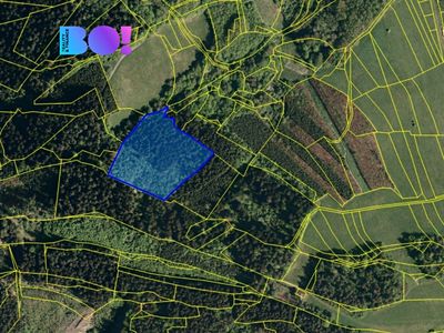 Prodej lesa 14596 m²