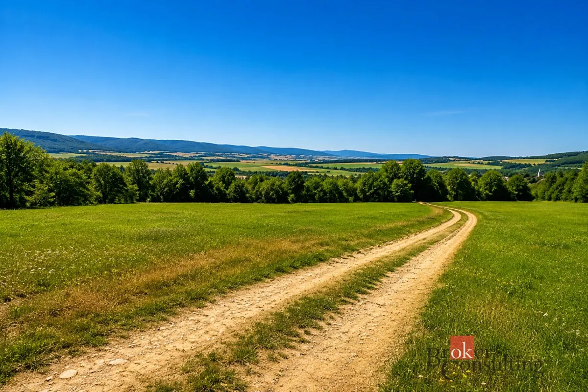 Prodej louky 3075 m²
