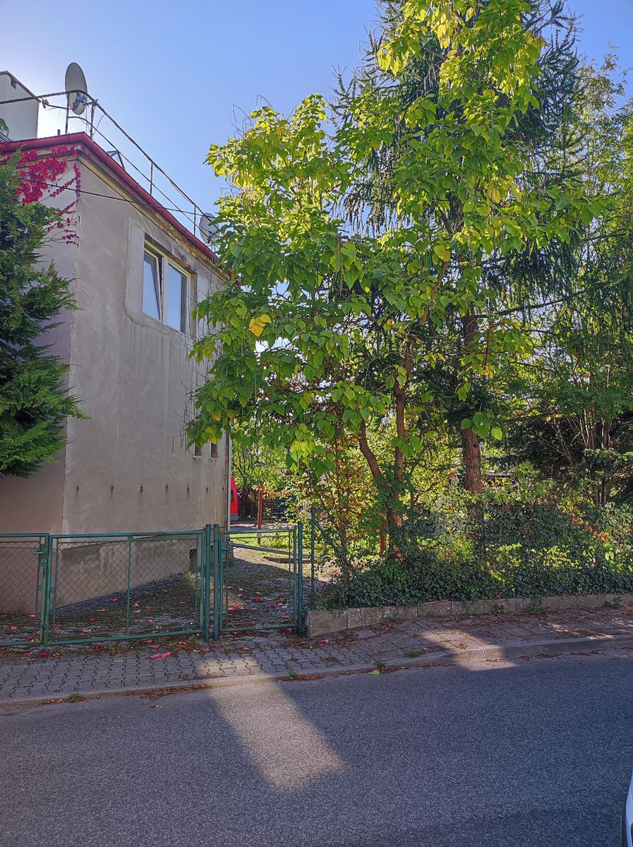 Pronájem vily 250 m², pozemek 898 m² – fotografie 3
