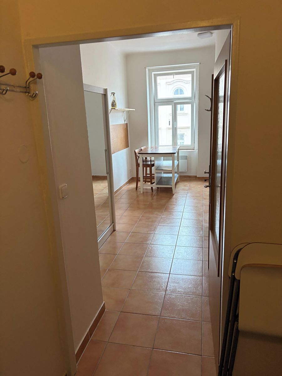 Pronájem bytu 1+1 34 m² – fotografie 2