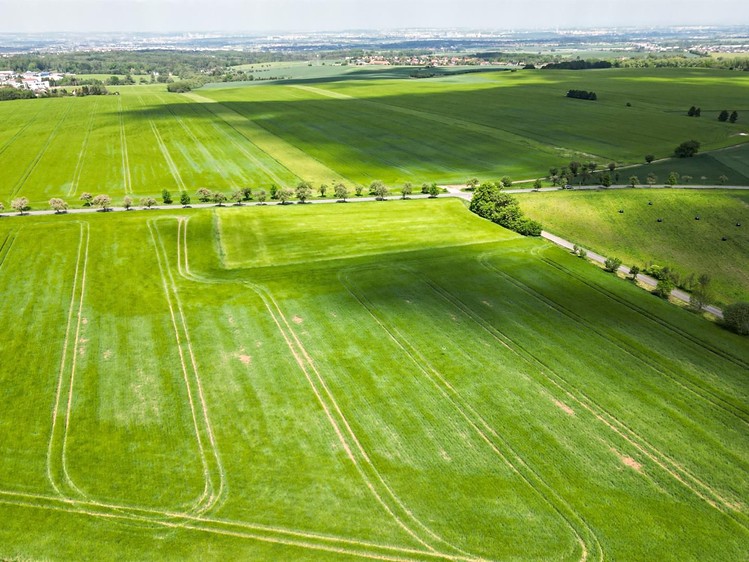 The Plot for sale, 805 m² (5 of 11)