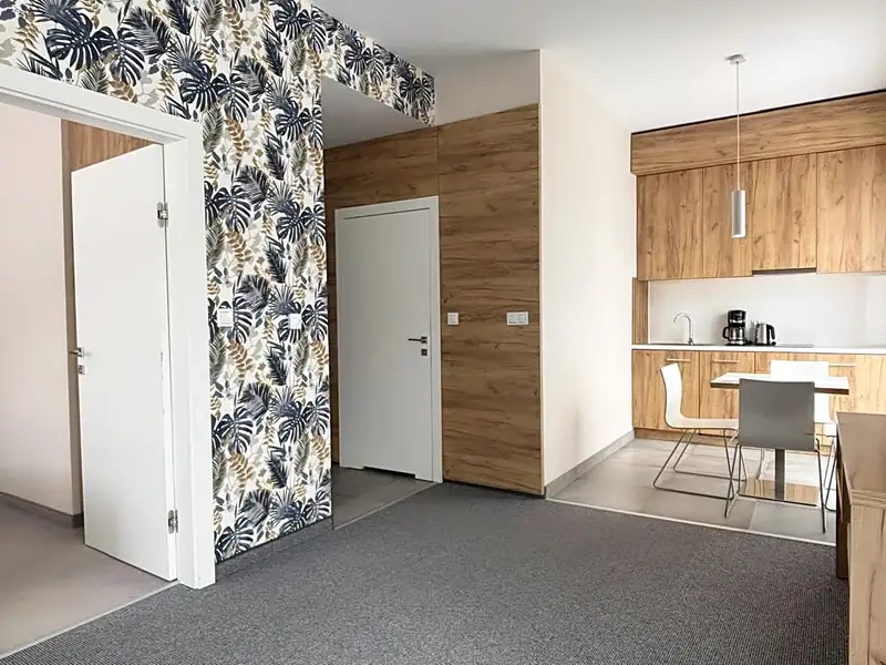 Prodej bytu 2+kk 46 m², Dolní Morava – náhled fotky 3