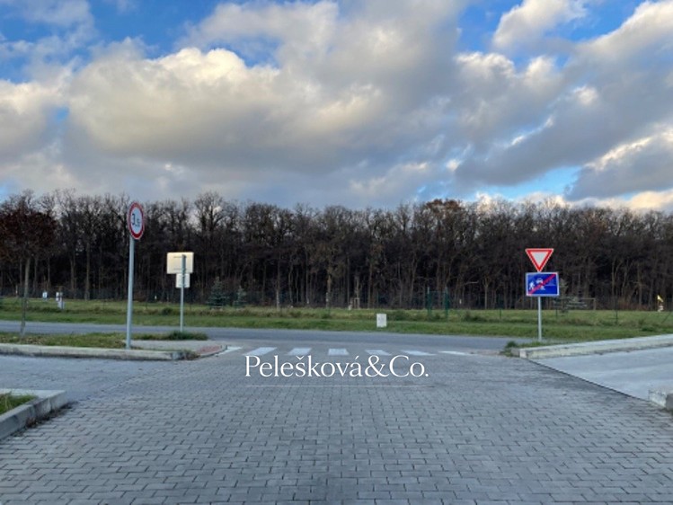 Immobilie zum Kauf, 19 m² (9 von 12)