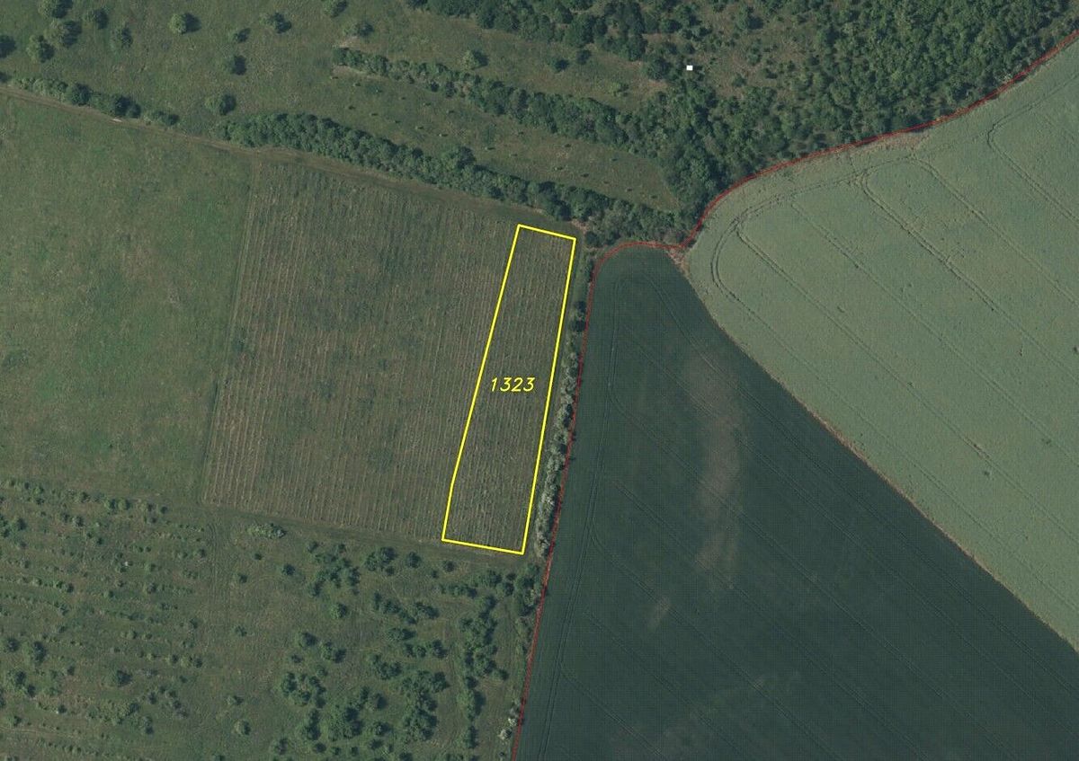 Prodej pole 3855 m²