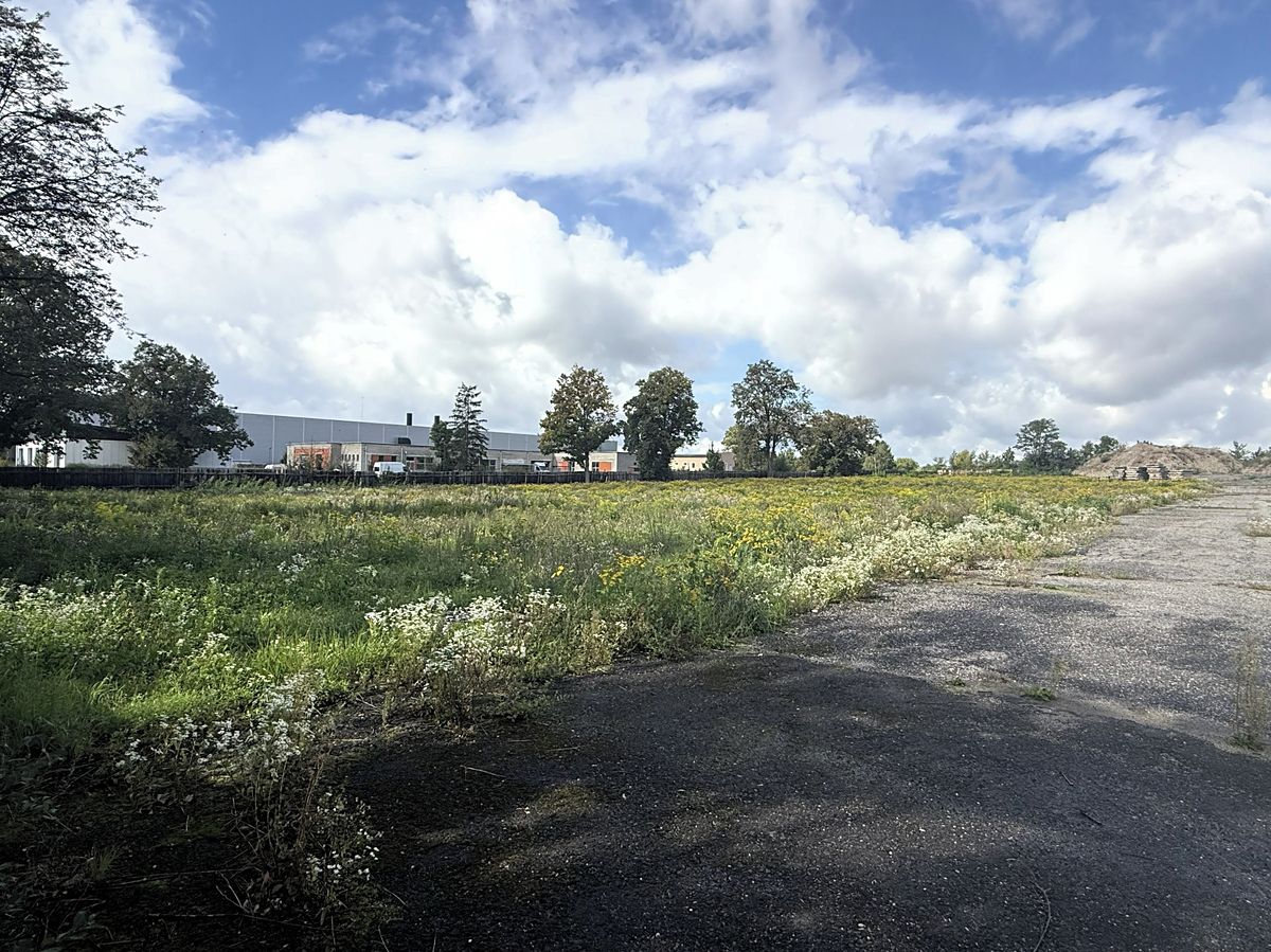 Prodej komerčního pozemku 28306 m² – fotografie 3