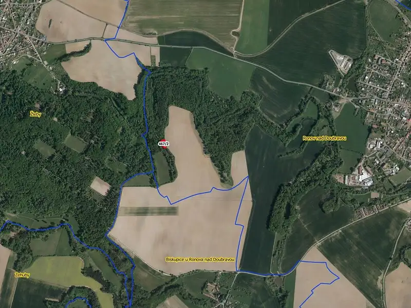 Prodej lesa 964 m², Ronov nad Doubravou – náhled fotky 2