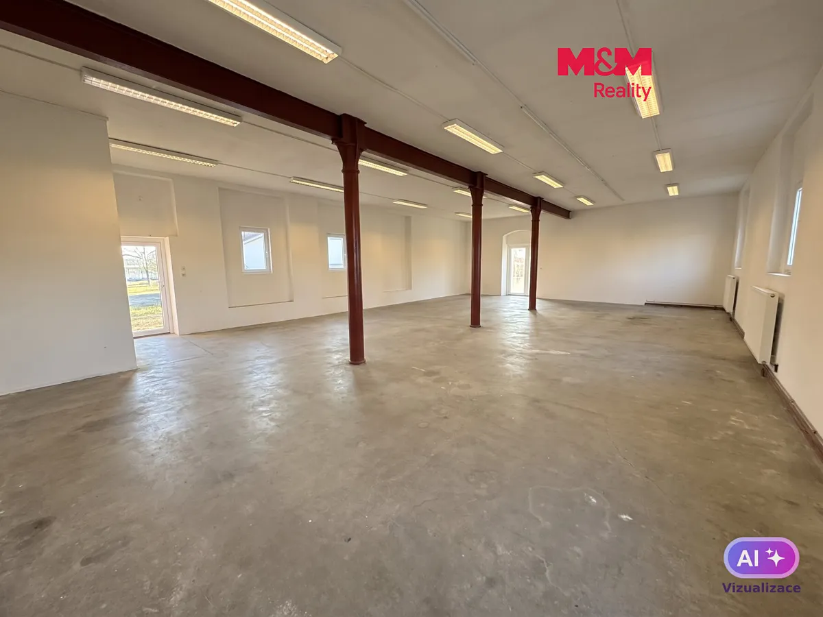 Pronájem obchodního prostoru 390 m²