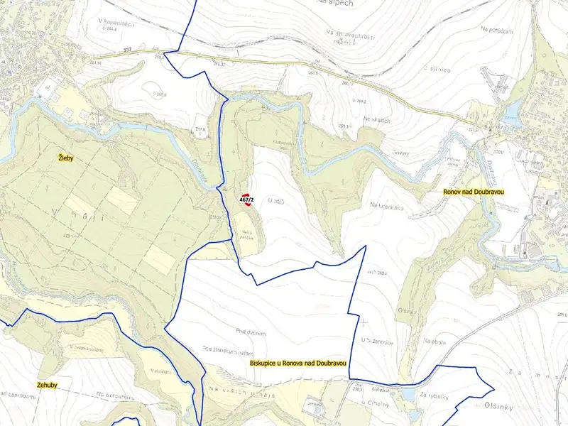 Prodej lesa 964 m², Ronov nad Doubravou – náhled fotky 3