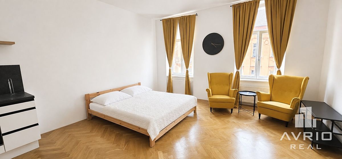 Pronájem bytu 1+kk 46 m²