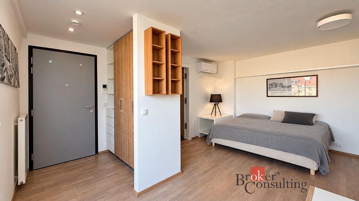 Pronájem bytu 1+kk 46 m² – fotografie 5