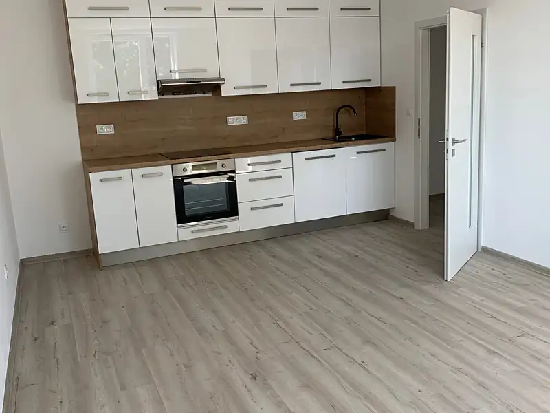 Pronájem bytu 2+kk 46 m², Tábor – náhled fotky 1