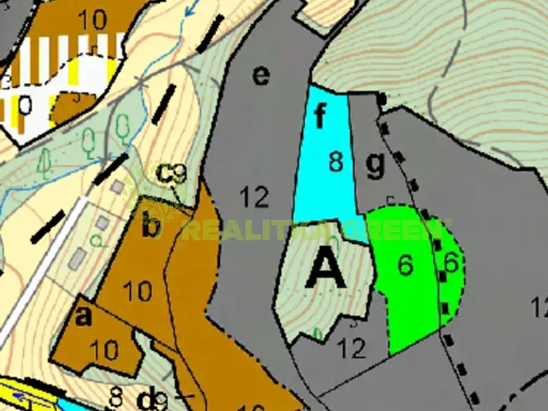 Prodej lesa 17966 m², Všemina – náhled fotky 2
