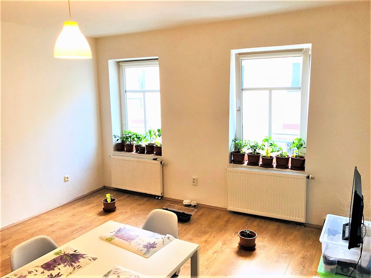 Pronájem bytu 2+kk 50 m² – fotografie 4