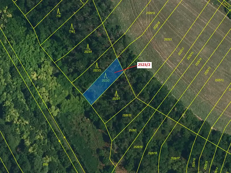 Dražba lesa 406 m², Horní Dunajovice – náhled fotky 2