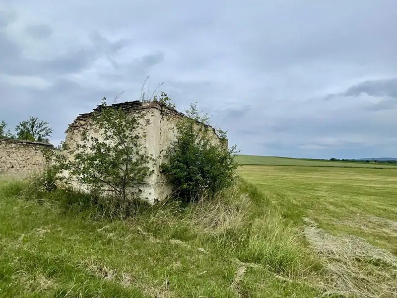 Prodej komerčního pozemku 462 m², Pleše – náhled fotky 2
