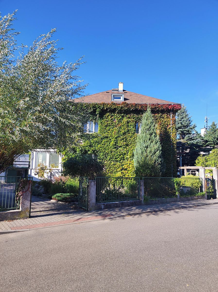 Pronájem vily 250 m², pozemek 898 m²