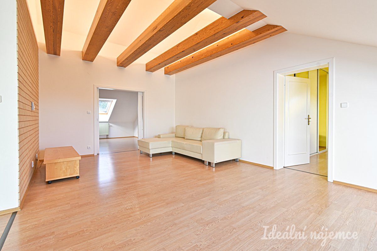 Pronájem bytu 3+kk 118 m² – fotografie 4