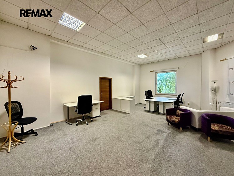 Pronájem komerčního prostoru, 400 m² (8 z 19)