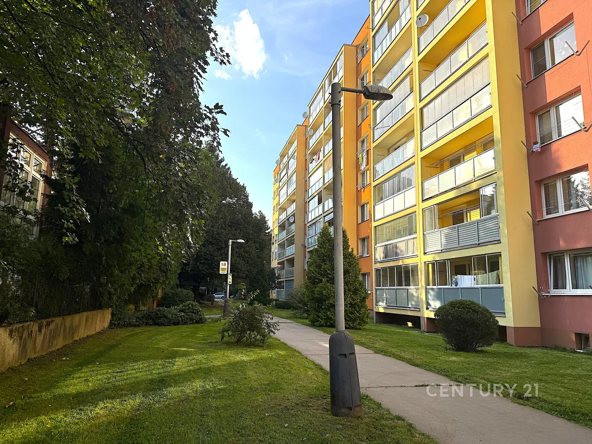 Fotka 15 z 19